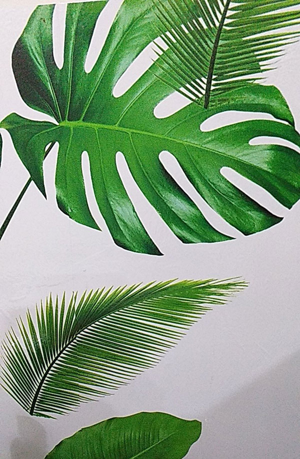 Decal Dán Bếp Lá Dương Xỉ