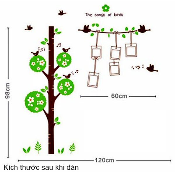 Decal Trang Trí Cây Vòng Tròn Và Khung Ảnh
