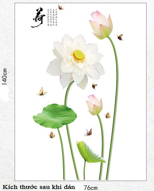 Decal Trang Trí Hoa Sen Trắng