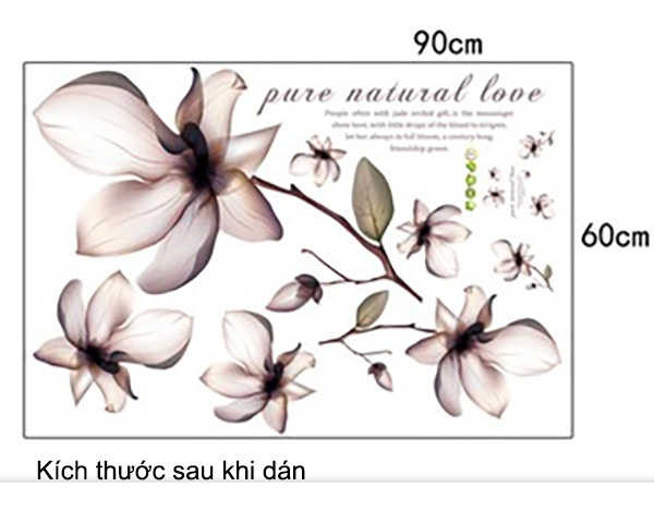 Decal Trang Trí Những Đóa Hoa Trắng