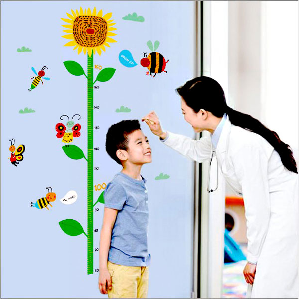 Decal Trang Trí Thước Đo Hoa Hướng Dương